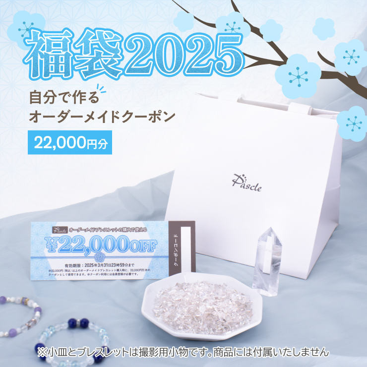 【22,000円分クーポン】自分で作る オーダーメイド福袋 2025（数量限定）