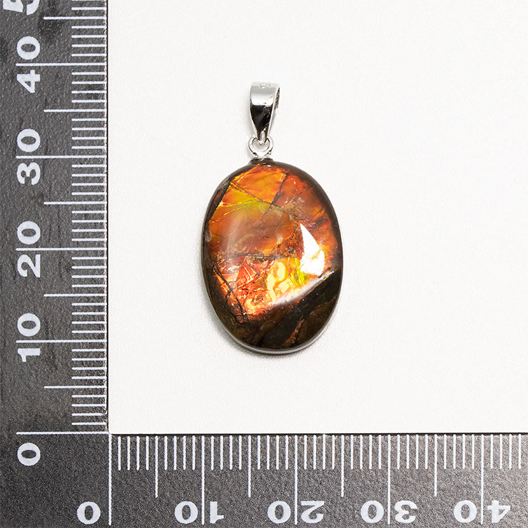 【一点もの】アンモライトフォッシル ペンダントトップ