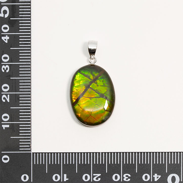 【一点もの】アンモライトフォッシル ペンダントトップ