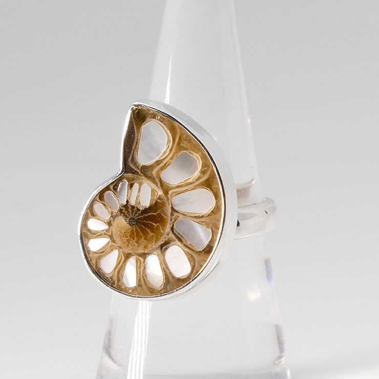 【一点もの】アンモナイト白蝶貝 象嵌 リング