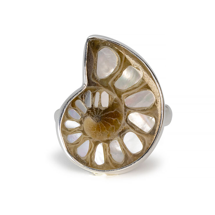 【一点もの】アンモナイト白蝶貝 象嵌 リング