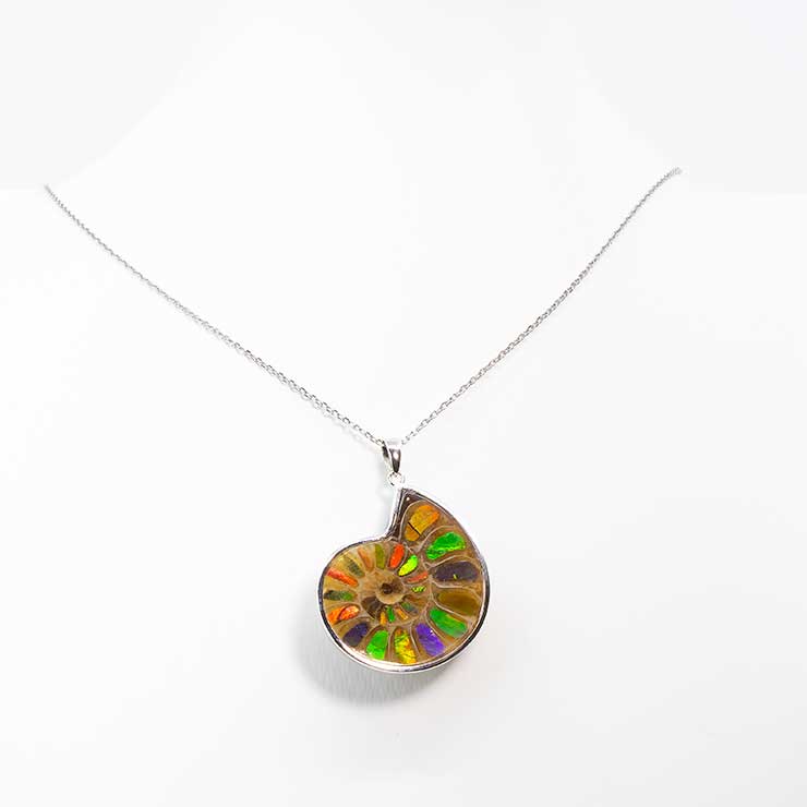 【一点もの】アンモナイトアンモライト シルバーペンダントトップ