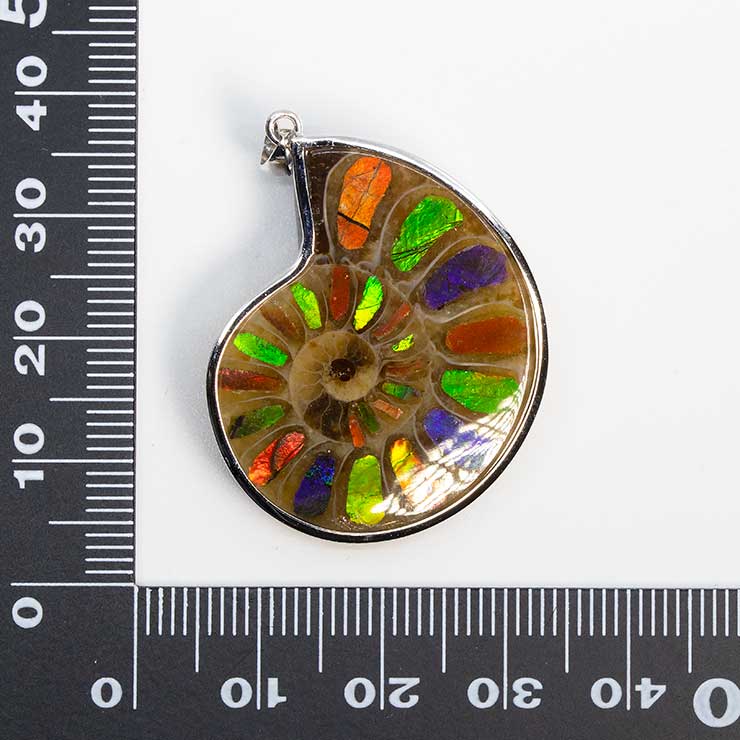 【一点もの】アンモナイトアンモライト シルバーペンダントトップ