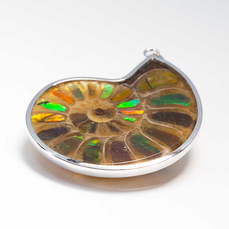 【一点もの】アンモナイトアンモライト シルバーペンダントトップ