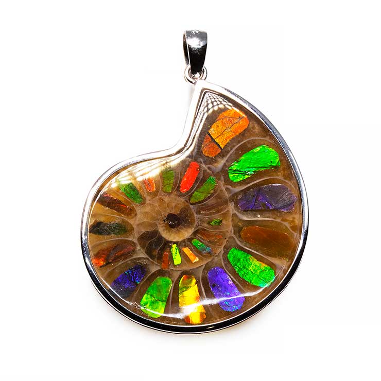 【一点もの】アンモナイトアンモライト シルバーペンダントトップ