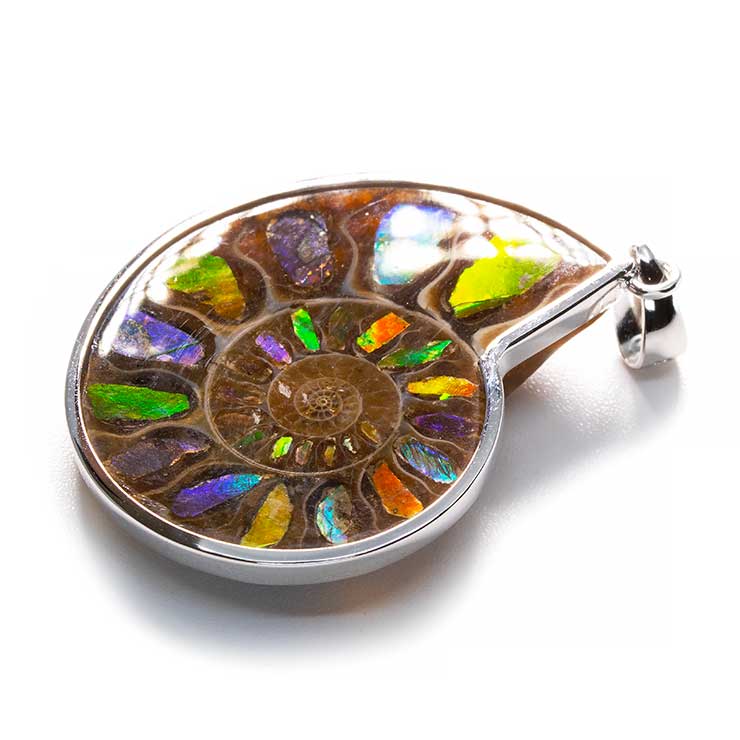 【一点もの】アンモナイトアンモライト シルバーペンダントトップ