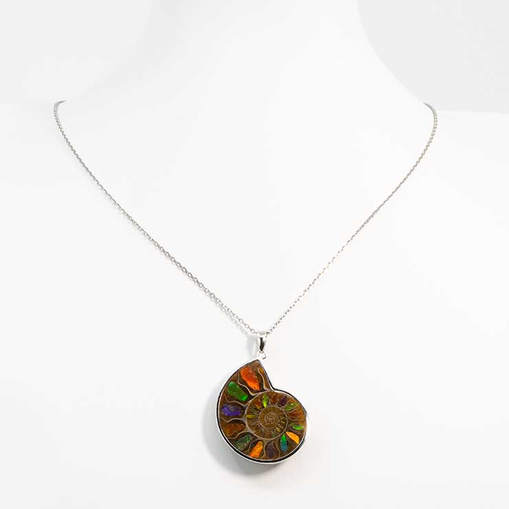 【一点もの】アンモナイトアンモライト シルバーペンダントトップ