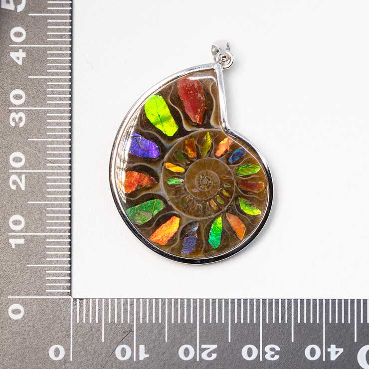 【一点もの】アンモナイトアンモライト シルバーペンダントトップ